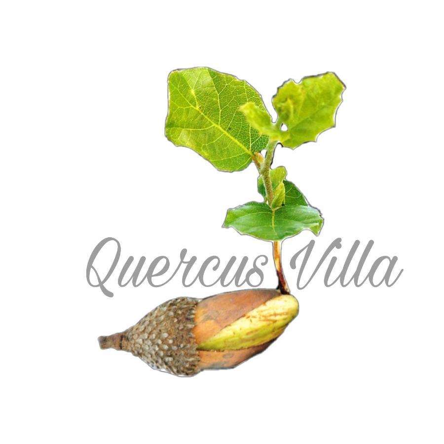 Quercus Villa Sesimbra Bagian luar foto